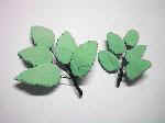leaves2.jpg (3273 bytes)